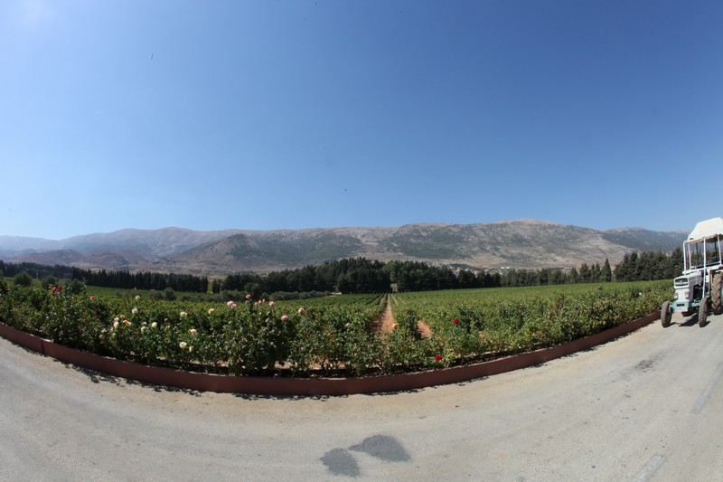 Ferrari Panorama Lebanon 2016 Ride